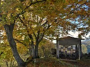 48 Cappella con il tetto a forma di foglia all'ombra di faggi colorati d'autunno 